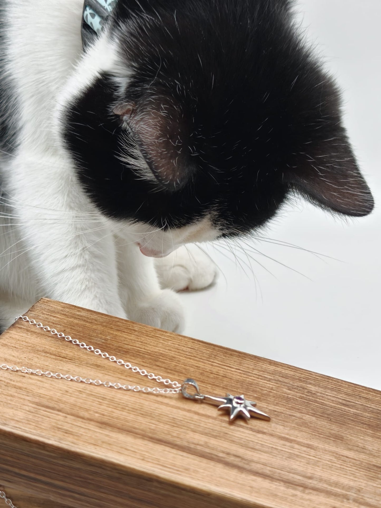 Cat looking at a silver necklace with a star pendant on a wooden surface